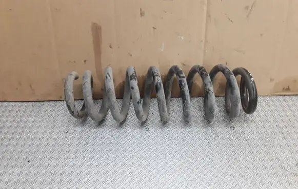 Rear coil spring