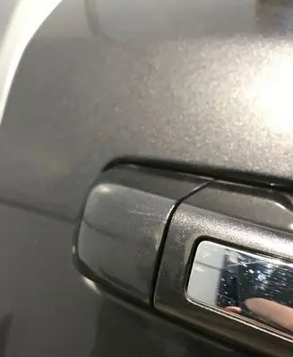 Dodge RAM Rear door 