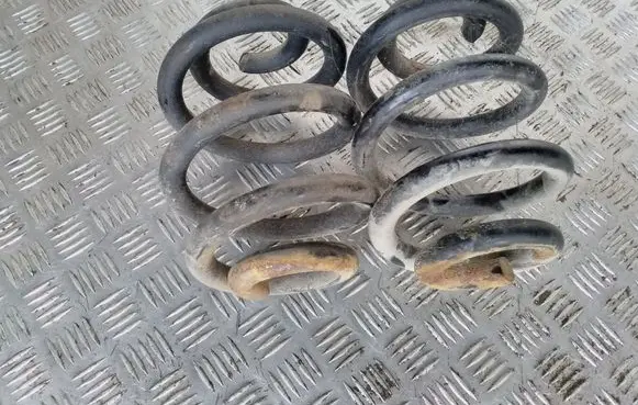 Rear coil spring