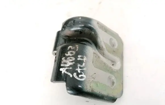 Rear door lower hinge