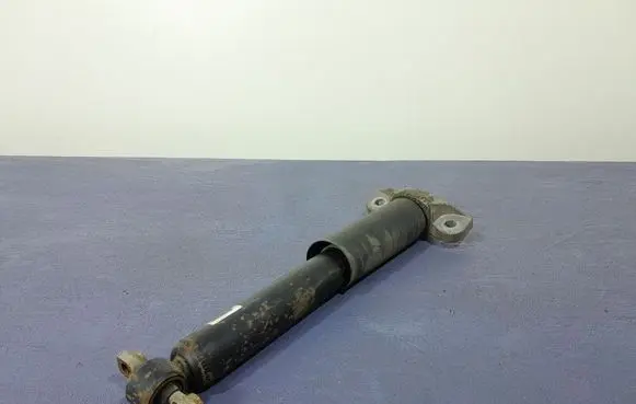 Ford Mustang VI Rear shock absorber/damper FR3C18W002