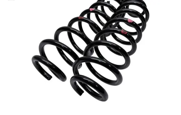 Toyota RAV 4 (XA50) Rear coil spring 4823142580
