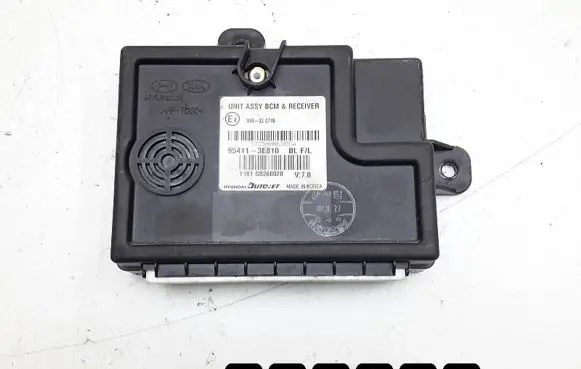 KIA Sorento Engine control unit/module 954113e810