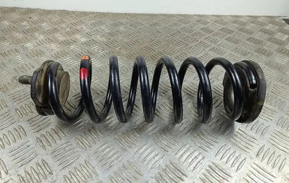 Rear coil spring