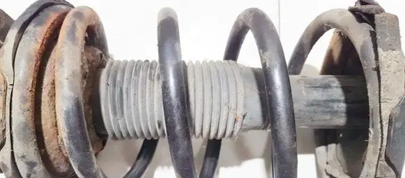 KIA Carnival Front coil spring 4600201va