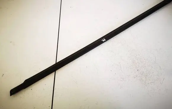 Citroen C3 Front door glass trim molding