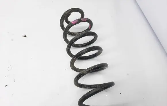 Toyota RAV 4 (XA50) Rear coil spring