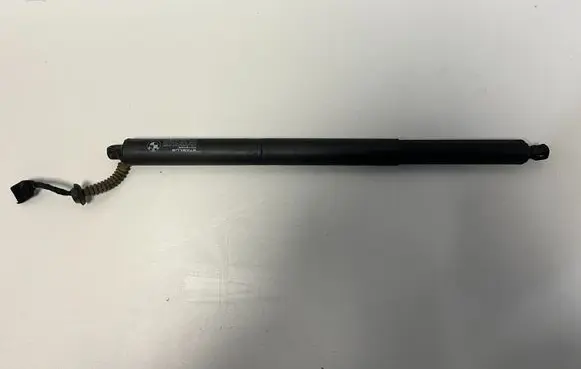 Tailgate/trunk strut/damper