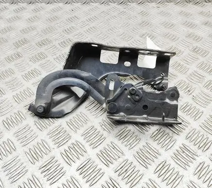 Mercedes-Benz CLS C257 Engine bonnet/hood hinges A2138800228