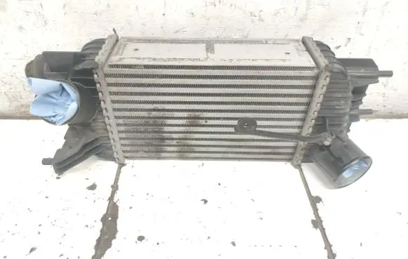 Nissan Juke I F15 Intercooler radiator 144611KC0B