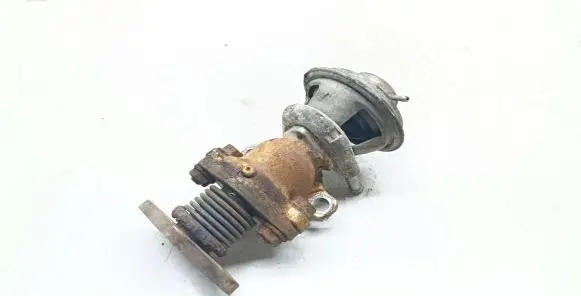 Fiat Ducato EGR valve