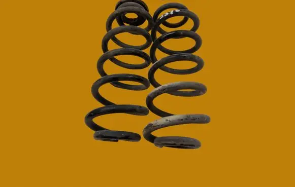 Rear coil spring