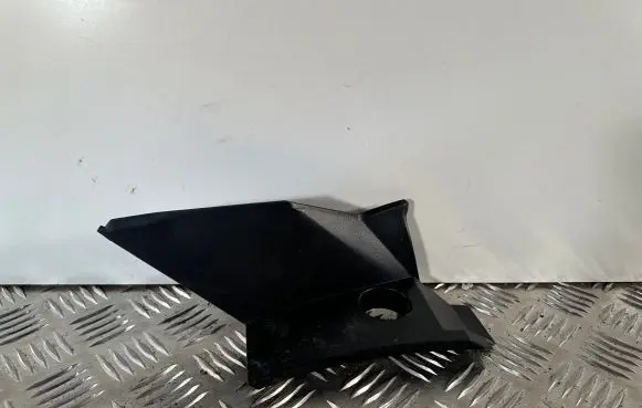 Rear/tail light trim molding