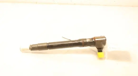 Mazda 2 Fuel injector S56013H50
