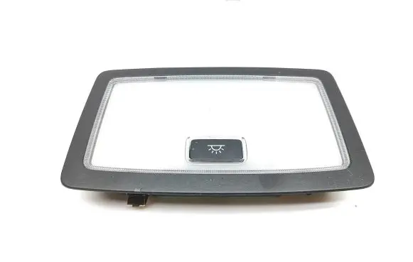 Lexus UX Rear seat light 20210202