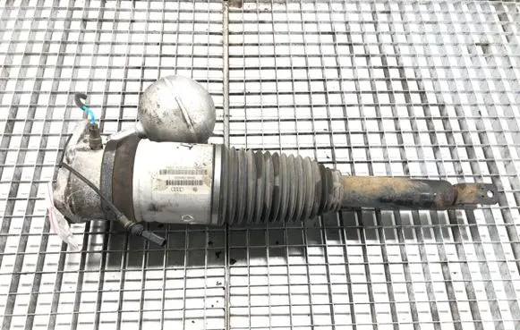 Volkswagen Phaeton Rear shock absorber/damper 3D0616002G