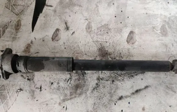Rear shock absorber/damper