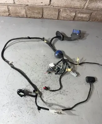 Front door wiring loom