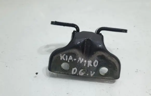 KIA Niro Rear door upper hinge