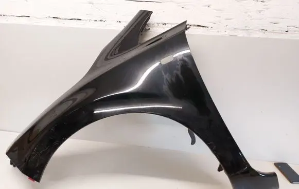 Nissan Leaf I (ZE0) Fender