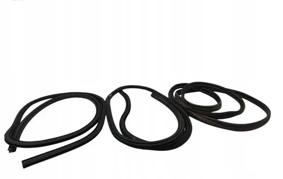 Ford Focus Rubber seal front door (on door) 