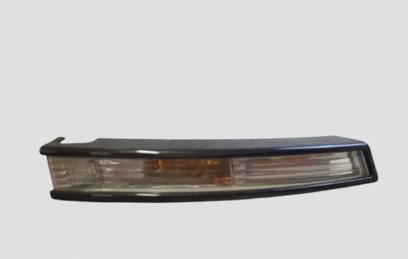 Volkswagen PASSAT B6 Front indicator light 3C0953042L