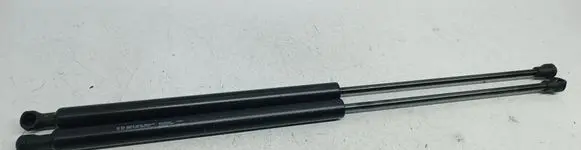 Tailgate/trunk strut/damper