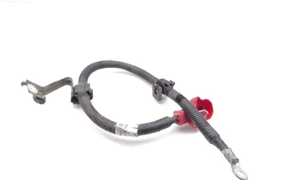 Nissan Leaf I (ZE0) Negative earth cable (battery) 