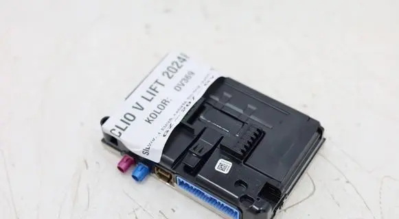 Renault Clio V Other control units/modules 2591A6180RMWGK 2591A6180