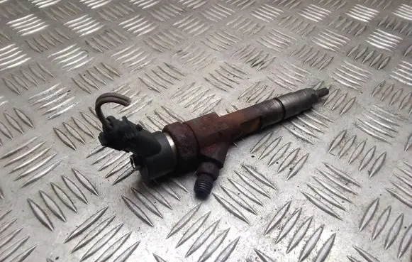 Renault Megane II Fuel injector 8200100272 0445110110B