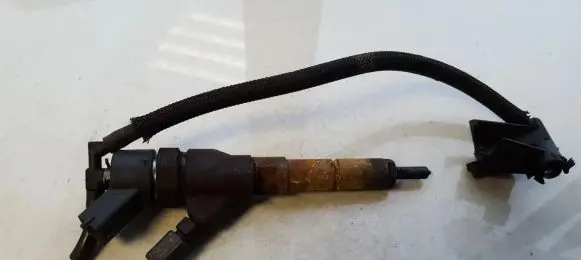 Citroen Berlingo Fuel injector 9635196580 44511000