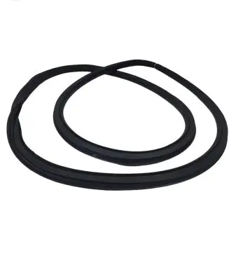 Opel Insignia A Front door rubber seal