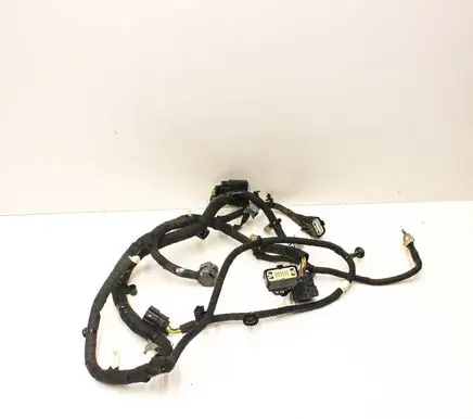 Other wiring loom