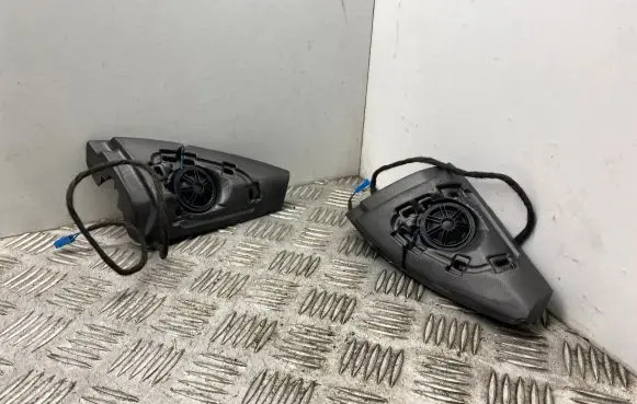 Front door high frequency speaker