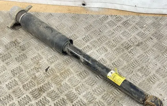 Opel Ampera Rear shock absorber/damper 22825519