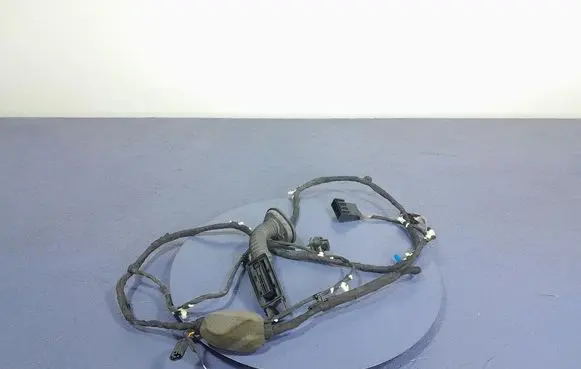 BMW X5 E53 Other wiring loom 8779818