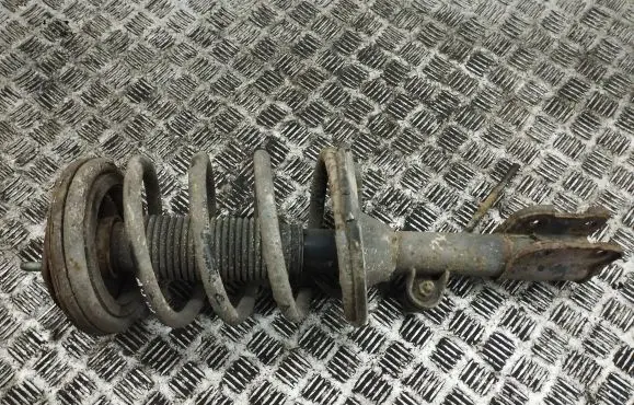 Hyundai Santa Fe Front shock absorber with coil spring