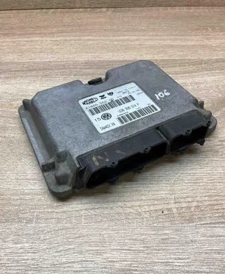 Volkswagen Golf IV Engine control unit/module ECU 036906014P 6160050200