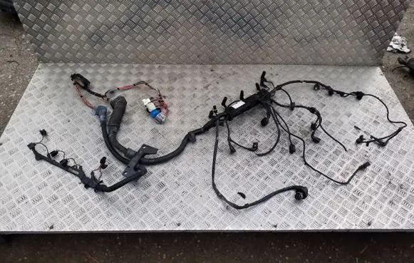 BMW X5 E53 Engine installation wiring loom 7790771 7790767