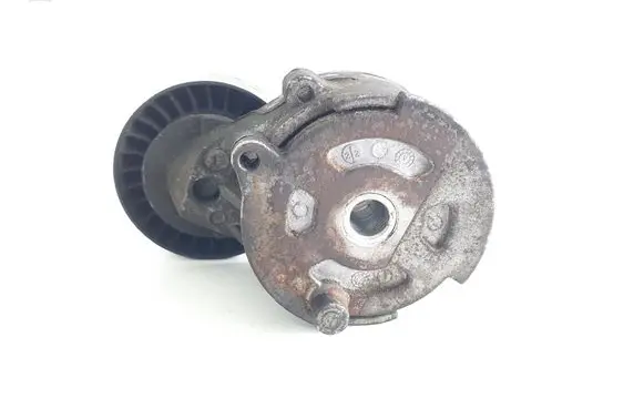 Fiat Doblo Generator/alternator belt tensioner 55244469