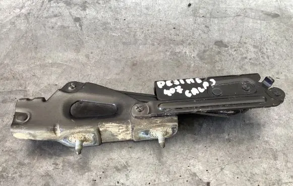 Tailgate/trunk/boot hinge