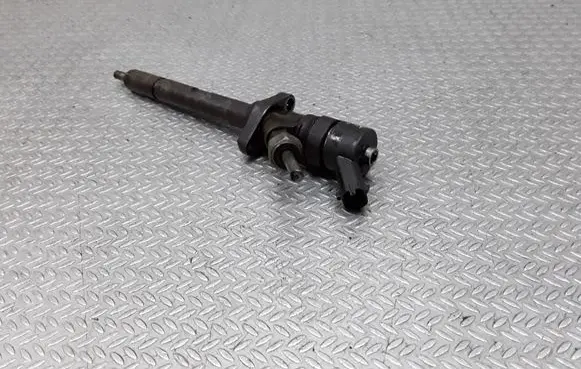 Citroen C8 Fuel injector 0445110036