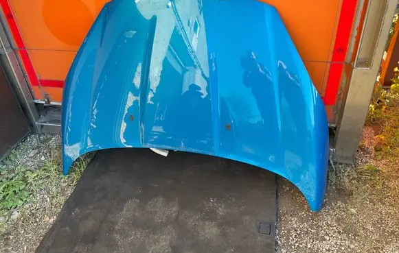 Engine bonnet/hood