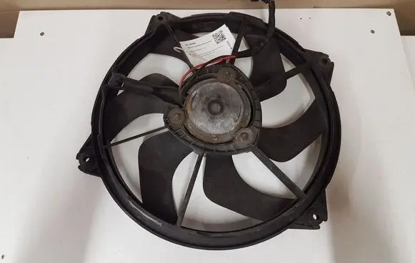 Citroen C4 I Picasso Electric radiator cooling fan 300000801