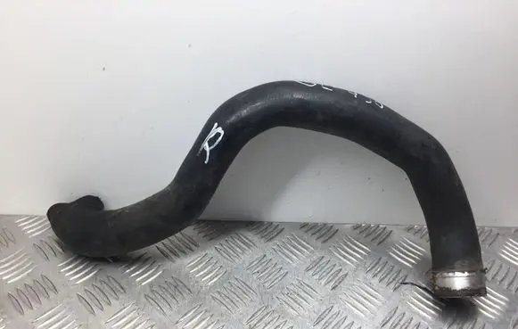 Mercedes-Benz GL X164 Engine coolant pipe/hose A1645010682