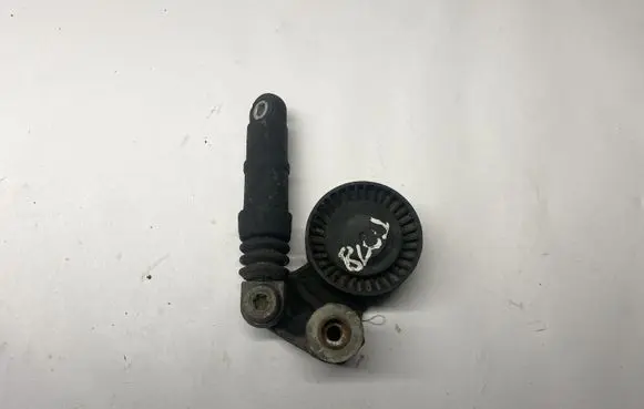 Porsche Cayenne (9PA) Timing belt tensioner 94810240101