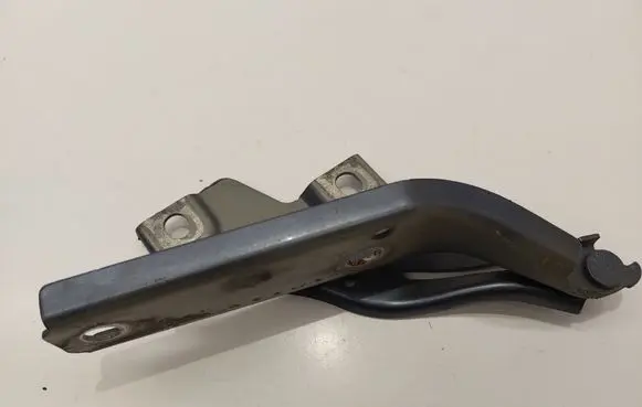 Volkswagen PASSAT B8 Engine bonnet/hood hinges 3G0823302