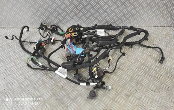 Other wiring loom