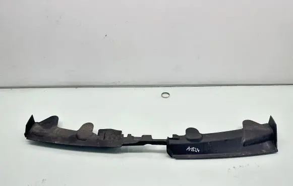 Volkswagen PASSAT B7 Engine bonnet/hood lock trim molding 3AA121330