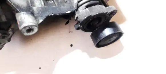 Chevrolet Captiva Generator/alternator belt tensioner